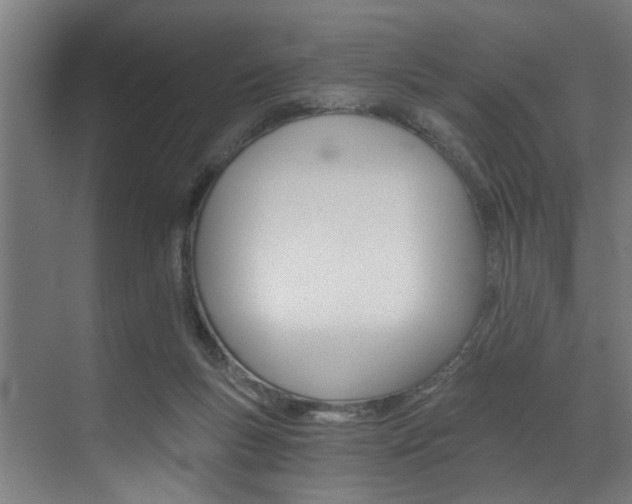 X0000072930167200607210941