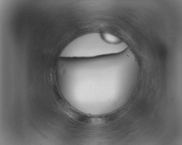 X0000072930169200607210941