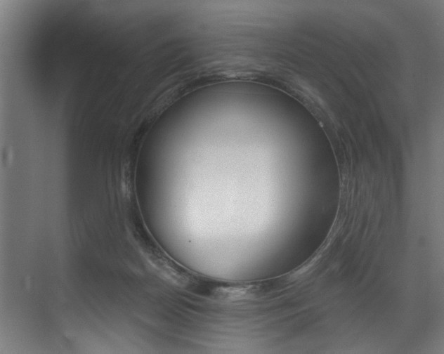 X0000072930170200607210941