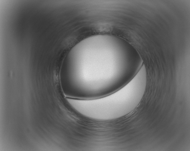 X0000072930176200607210941