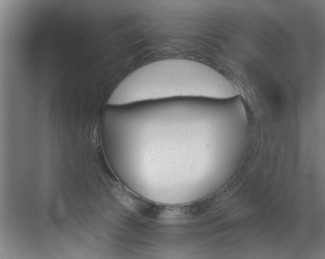 X0000072930177200607210941