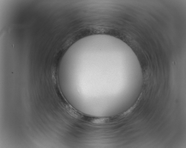 X0000072930178200607210941