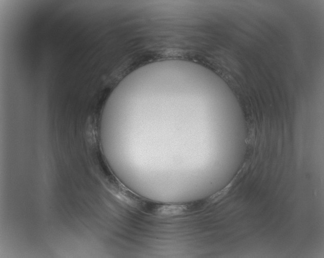 X0000072930179200607210941