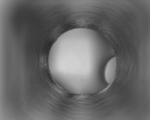 X0000072930182200607210941