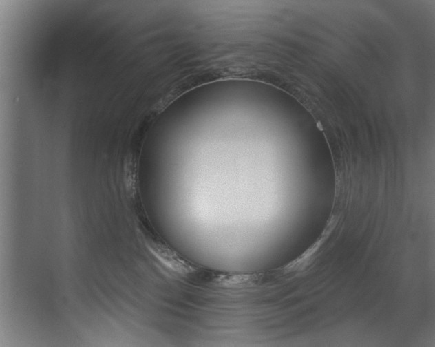 X0000072930186200607210941