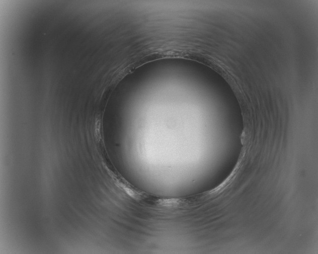 X0000072930192200607210941