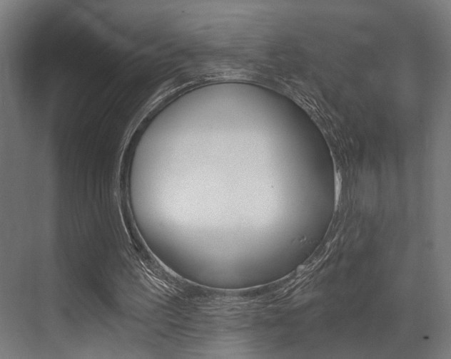 X0000072930195200607210941