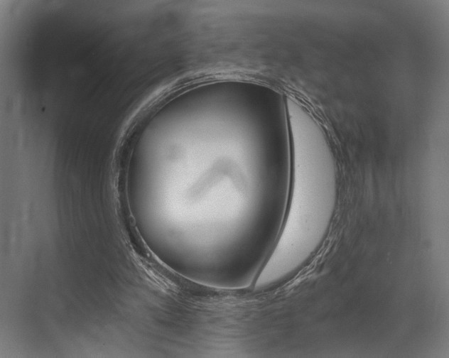 X0000072930197200607210941