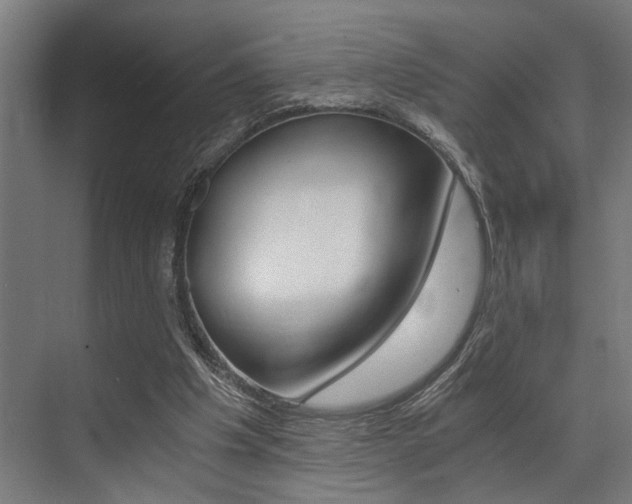 X0000072930201200607210940
