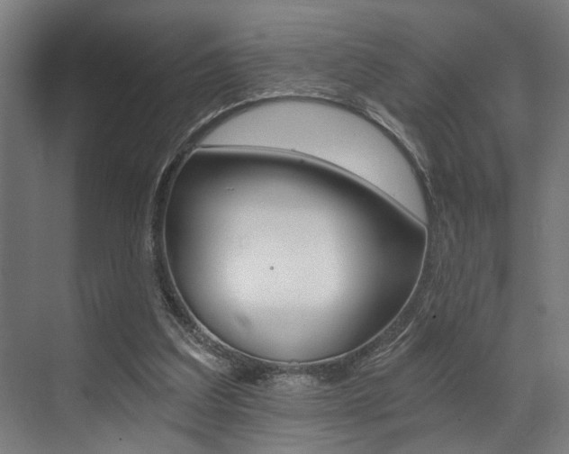 X0000072930203200607210940