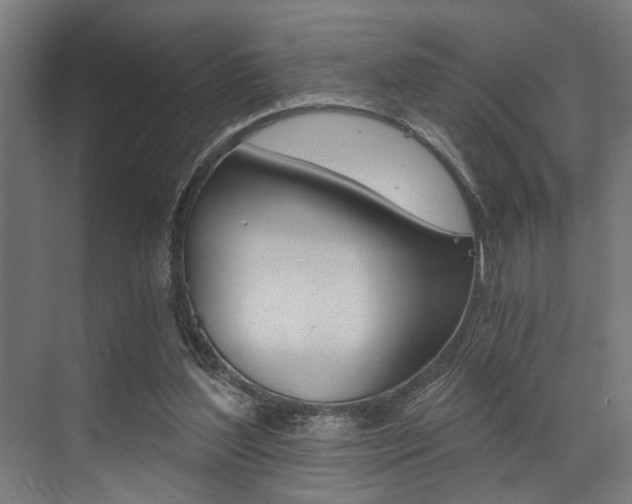 X0000072930204200607210940