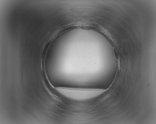 X0000072930205200607210940