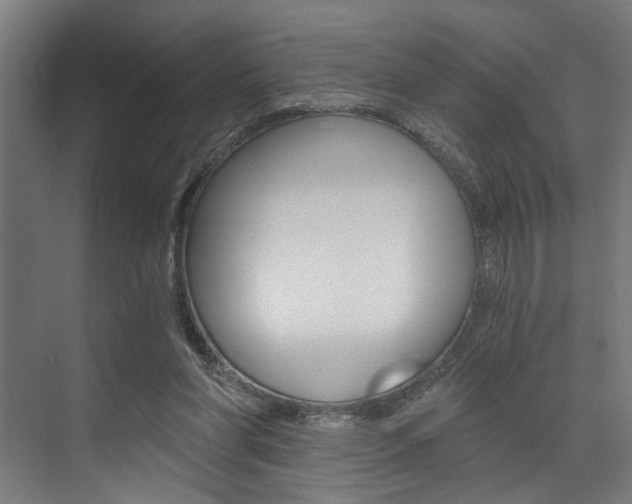 X0000072930206200607210940