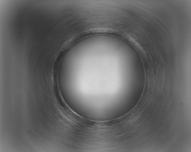 X0000072930207200607210940