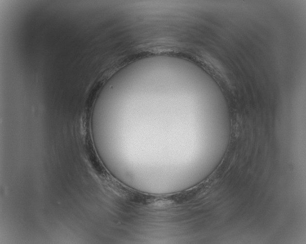 X0000072930210200607210940