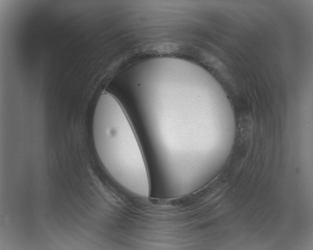X0000072930212200607210940