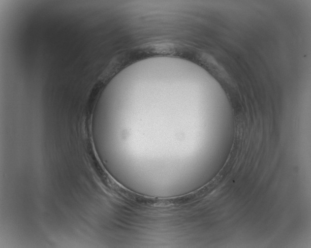 X0000072930213200607210940