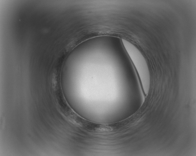 X0000072930215200607210940