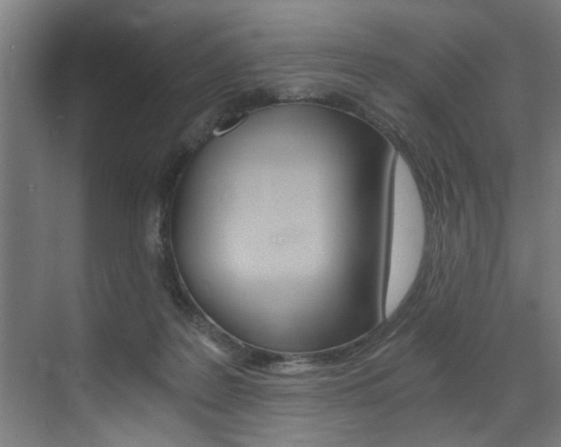 X0000072930219200607210940