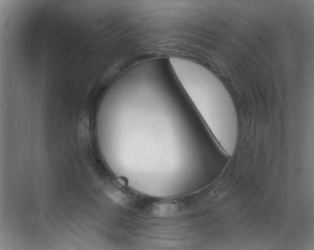 X0000072930220200607210940