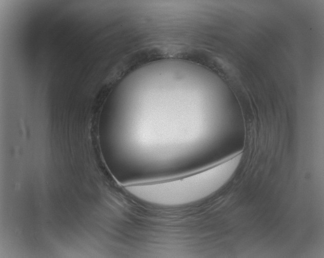 X0000072930221200607210940