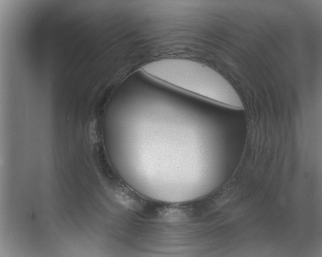 X0000072930224200607210940
