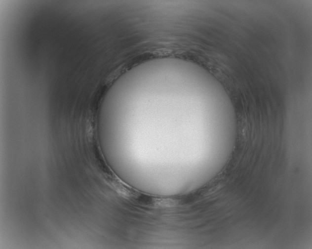 X0000072930226200607210940