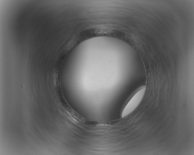 X0000072930227200607210940