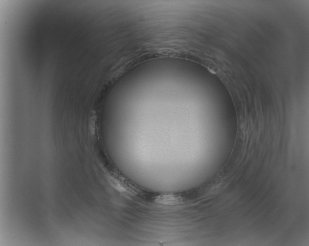 X0000072930231200607210940