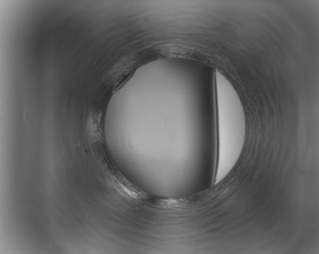X0000072930239200607210940