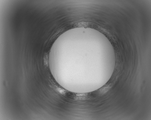 X0000072930240200607210940