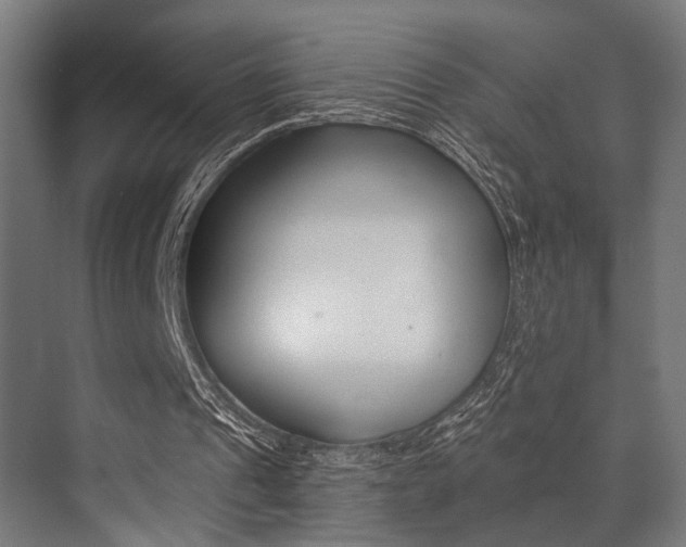 X0000072930241200607210939