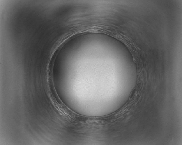 X0000072930242200607210939