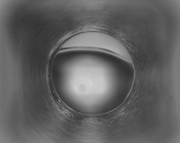 X0000072930244200607210939
