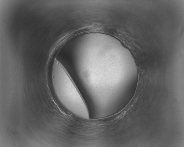 X0000072930245200607210939