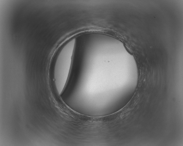 X0000072930247200607210939