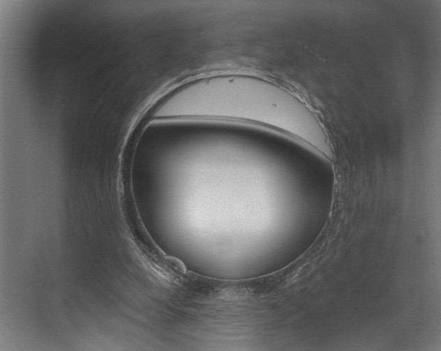X0000072930248200607210939
