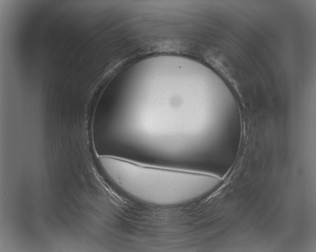 X0000072930249200607210939