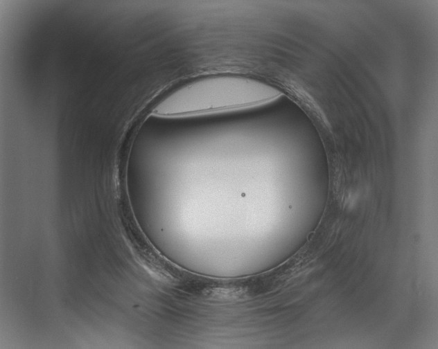 X0000072930251200607210939