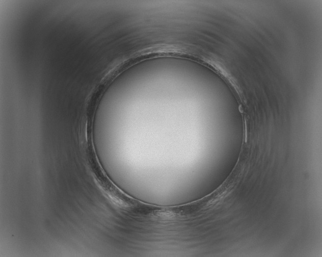 X0000072930253200607210939