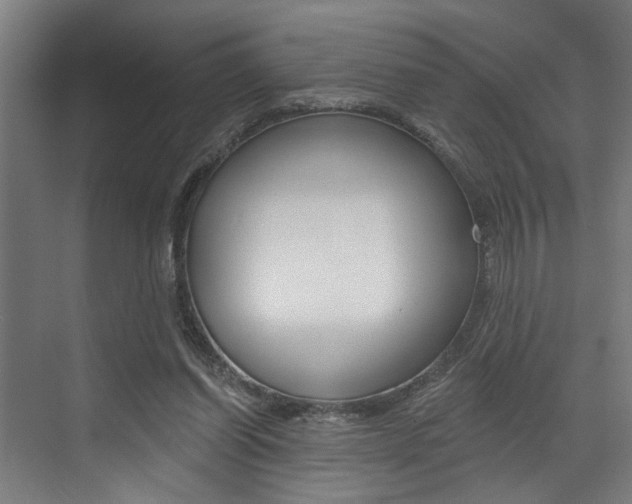 X0000072930254200607210939
