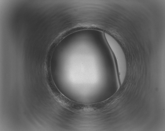 X0000072930256200607210939