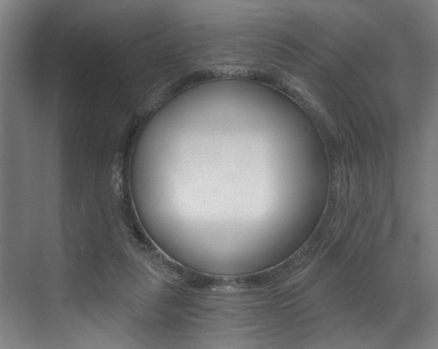X0000072930259200607210939