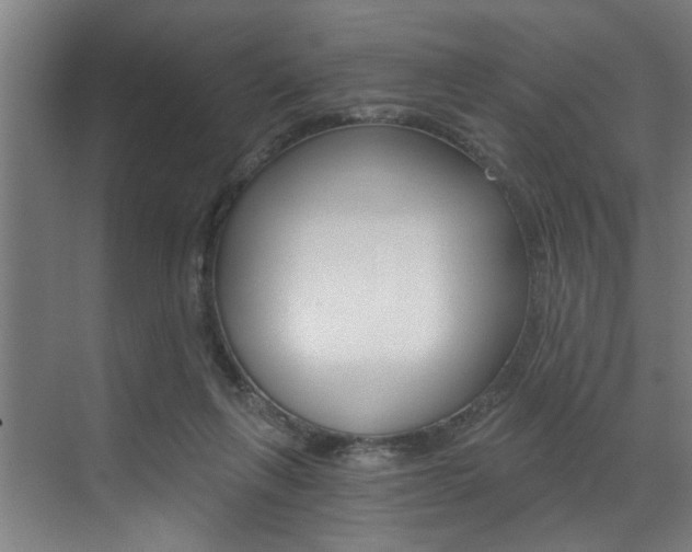 X0000072930263200607210939