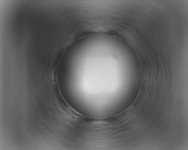 X0000072930268200607210939