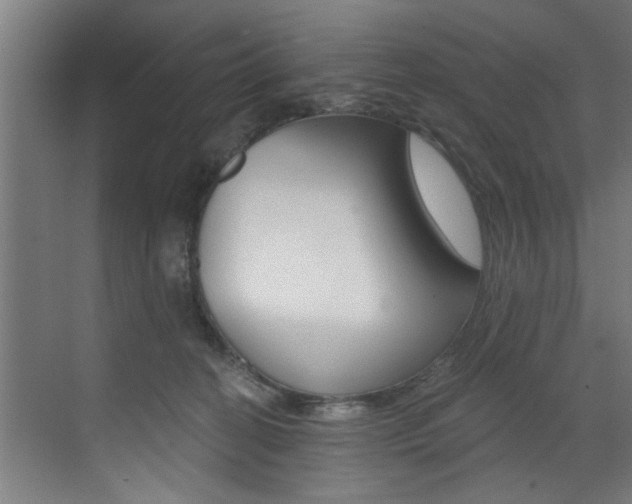 X0000072930274200607210940