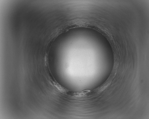 X0000072930288200607210940