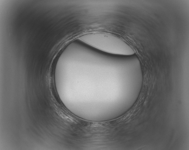 X0000072930290200607210939