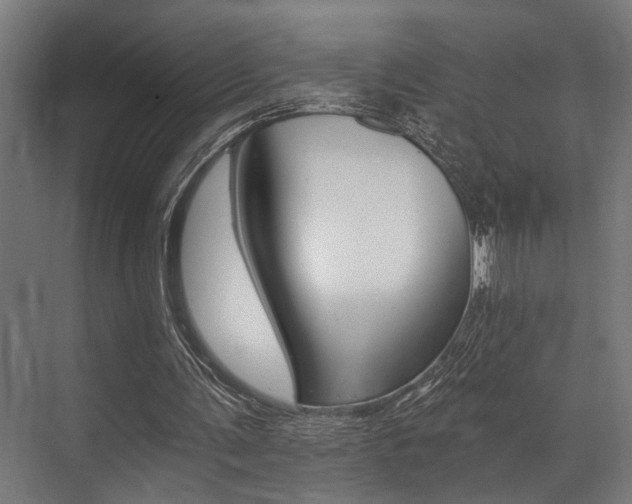 X0000072930291200607210939