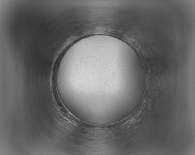 X0000072930292200607210939